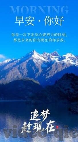91成人短视频-91成人短视频，网络文化的新视角与挑战