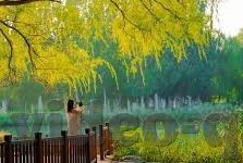 91麻豆传媒招聘-揭秘91麻豆传媒背后的人才招聘战略，创意与激情的碰撞