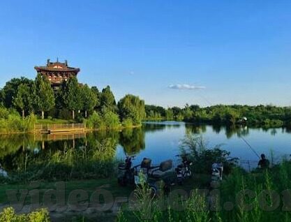 91麻豆果冻传媒天美蜜桃-色情内容的危害与规避——一段深刻的社会反思