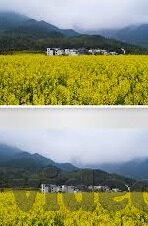 app软件免费下载糖心-拥抱新体验，免费下载糖心APP的魅力之旅