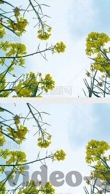 麻豆床传媒网站-麻豆床传媒网站的多元价值与数字内容新生态