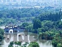 糖心app ios 福利-甜蜜邂逅，探索糖心app ios福利的数字乐园