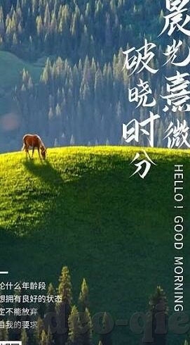 无码人妻视频一区二区三区-无码人妻视频一区二区三区，网络世界的灰色地带与道德边界